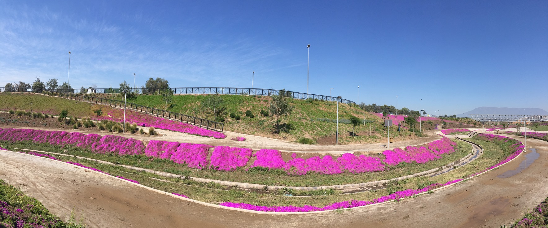 Proyecto paisajístico 2