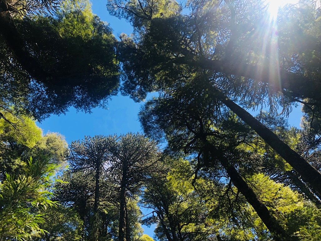 Equipo Paisaje Vivo