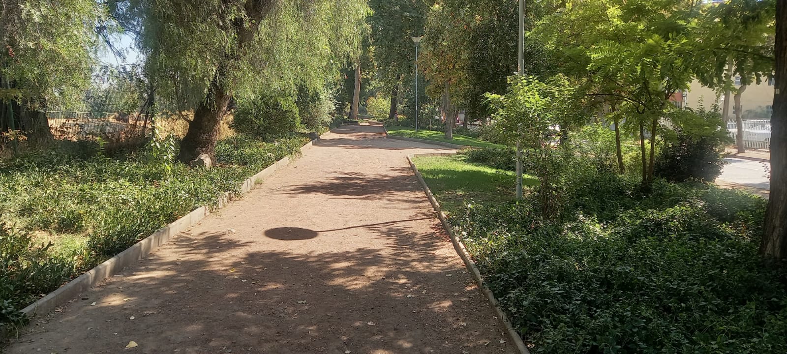 Asistencia técnica en Áreas Verdes